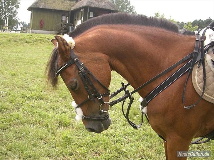 {{currentPhoto.altText}} billede {{currentPhoto.number}}