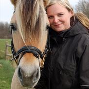 Fjordhest Højgaards Helia