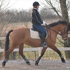 Anden særlig race Yohanna 