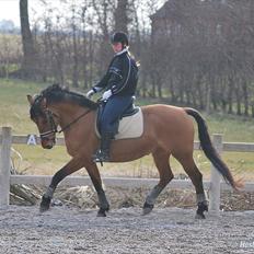 Anden særlig race Yohanna 