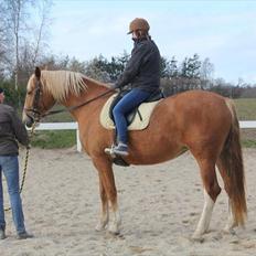 Frederiksborg Spica Skibstrup