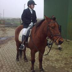 Anden særlig race gori