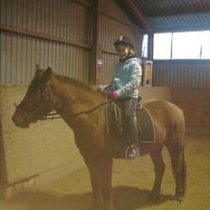 Anden særlig race gori