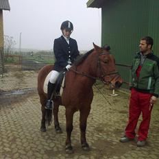 Anden særlig race gori