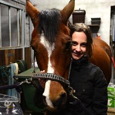 New Forest Alhedens Dianna