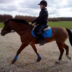 DSP Miss Tøsen *red*