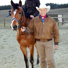 New Forest Alhedens Dianna