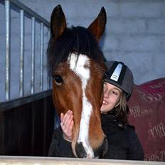 New Forest Alhedens Dianna