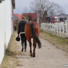 DSP Gefion Søblink GUFFE