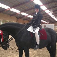 Anden særlig race Gypsy