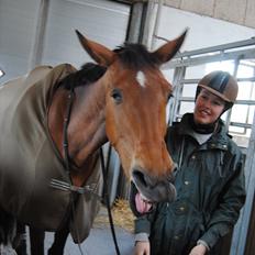 Anden særlig race Coco