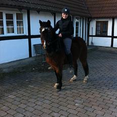 Anden særlig race Ibrahim