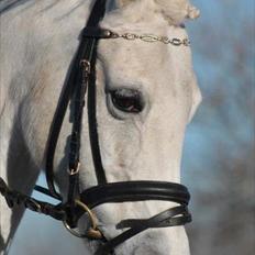 Anden særlig race Emma <3<3<3<3