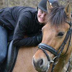 Anden særlig race Lukas -SOLGT
