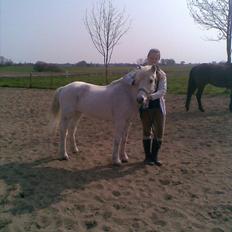 Anden særlig race Mickey † 2/5-11 †