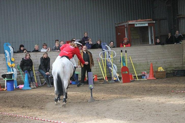 Pinto Lucky Star *Himmelhest* - Ponygames stævne på ØSR!:-D
Foto: DRF billede 15