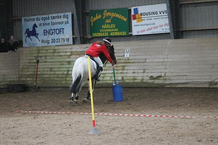 Pinto Lucky Star *Himmelhest* - Ponygames stævne på ØSR!:-D
Foto: DRF billede 17