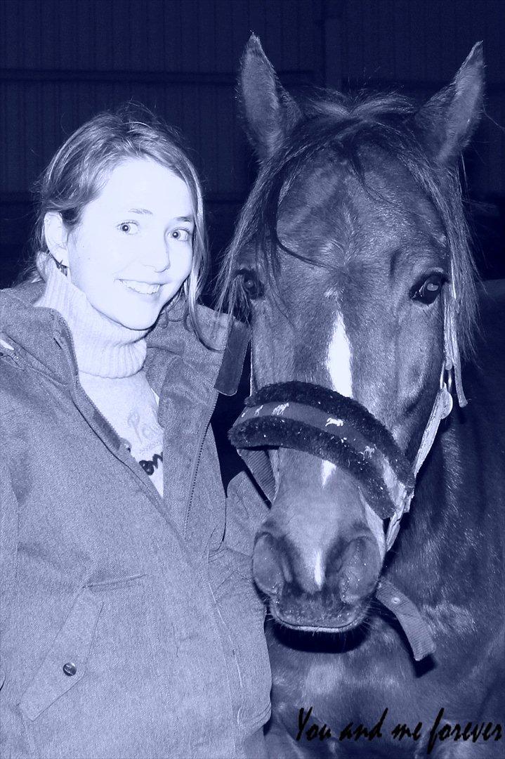 DSP Stidsbjergs Chanie - Mulle. billede 9