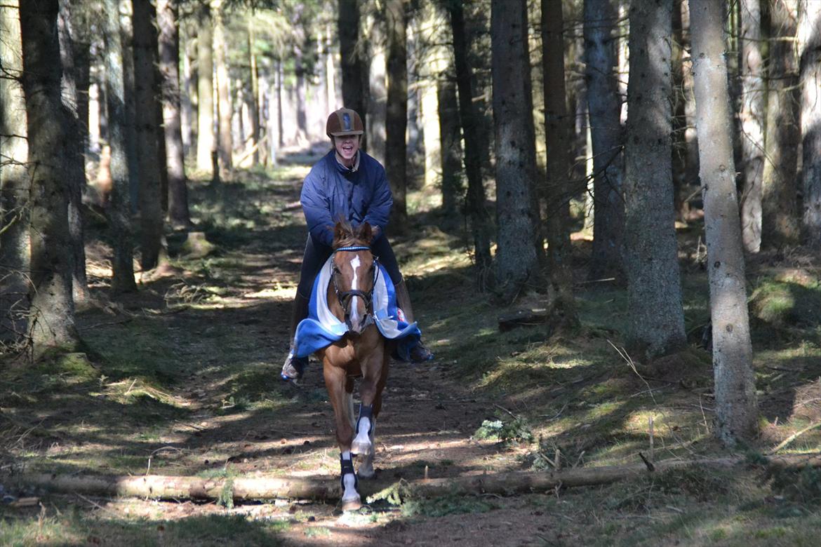 Anden særlig race Tosca J billede 19
