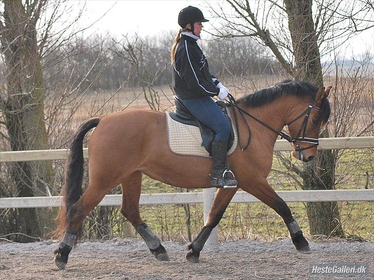 Anden særlig race Yohanna  billede 3