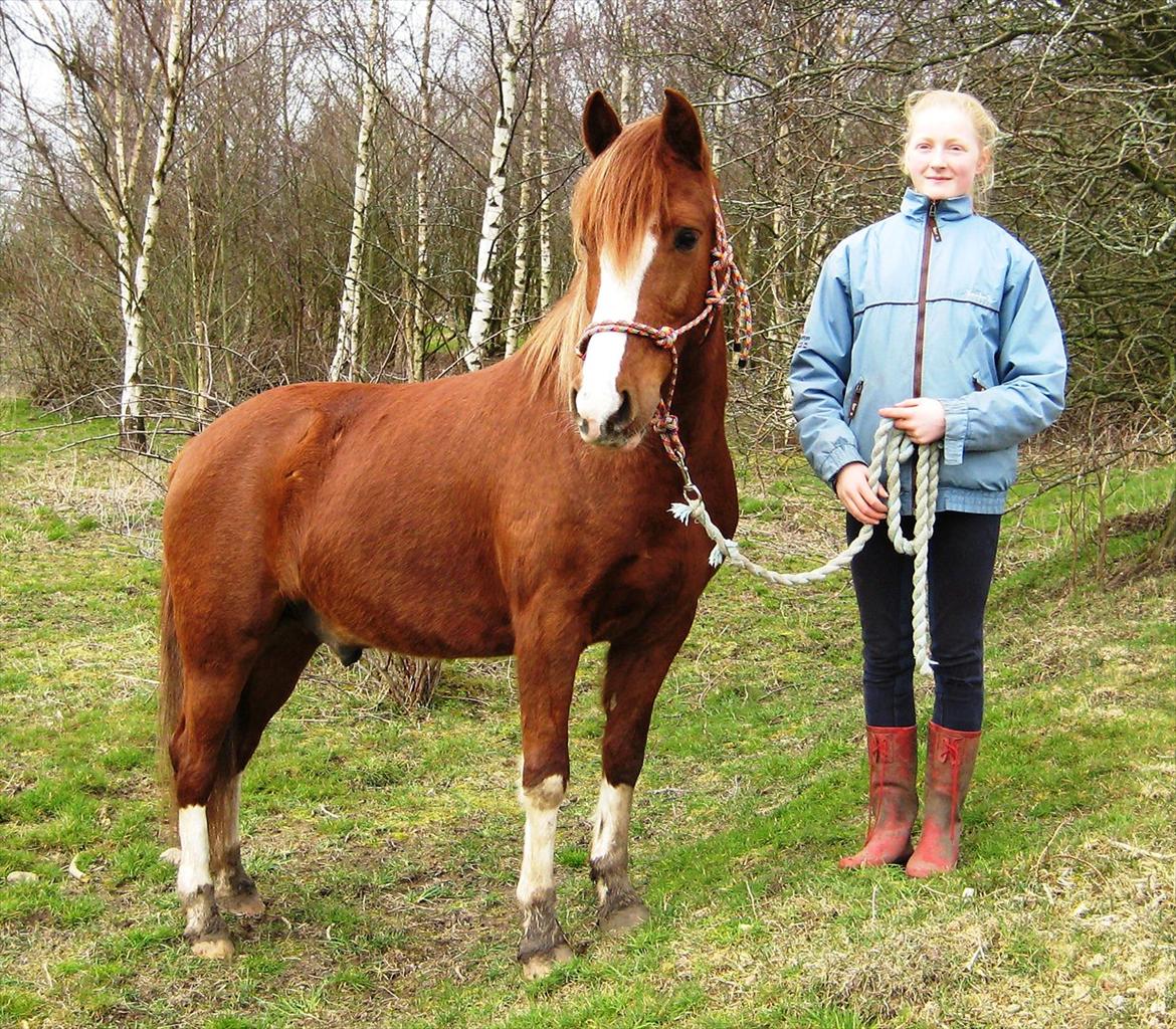 Anden særlig race Gizmo billede 14