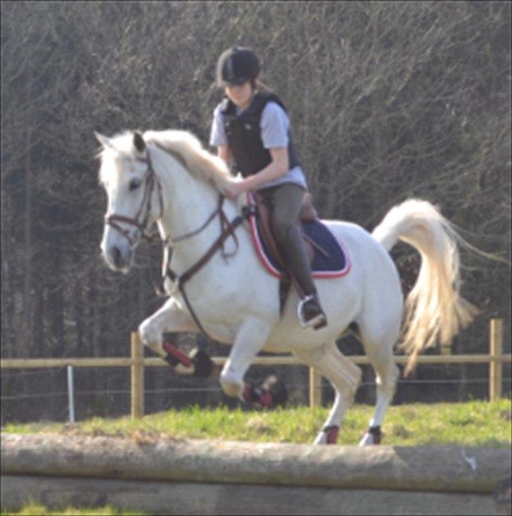 Anden særlig race Stella *solgt:,(<3* - Drøm som skulle du leve for evigt, lev som skulle du dø i dag ♥ billede 17