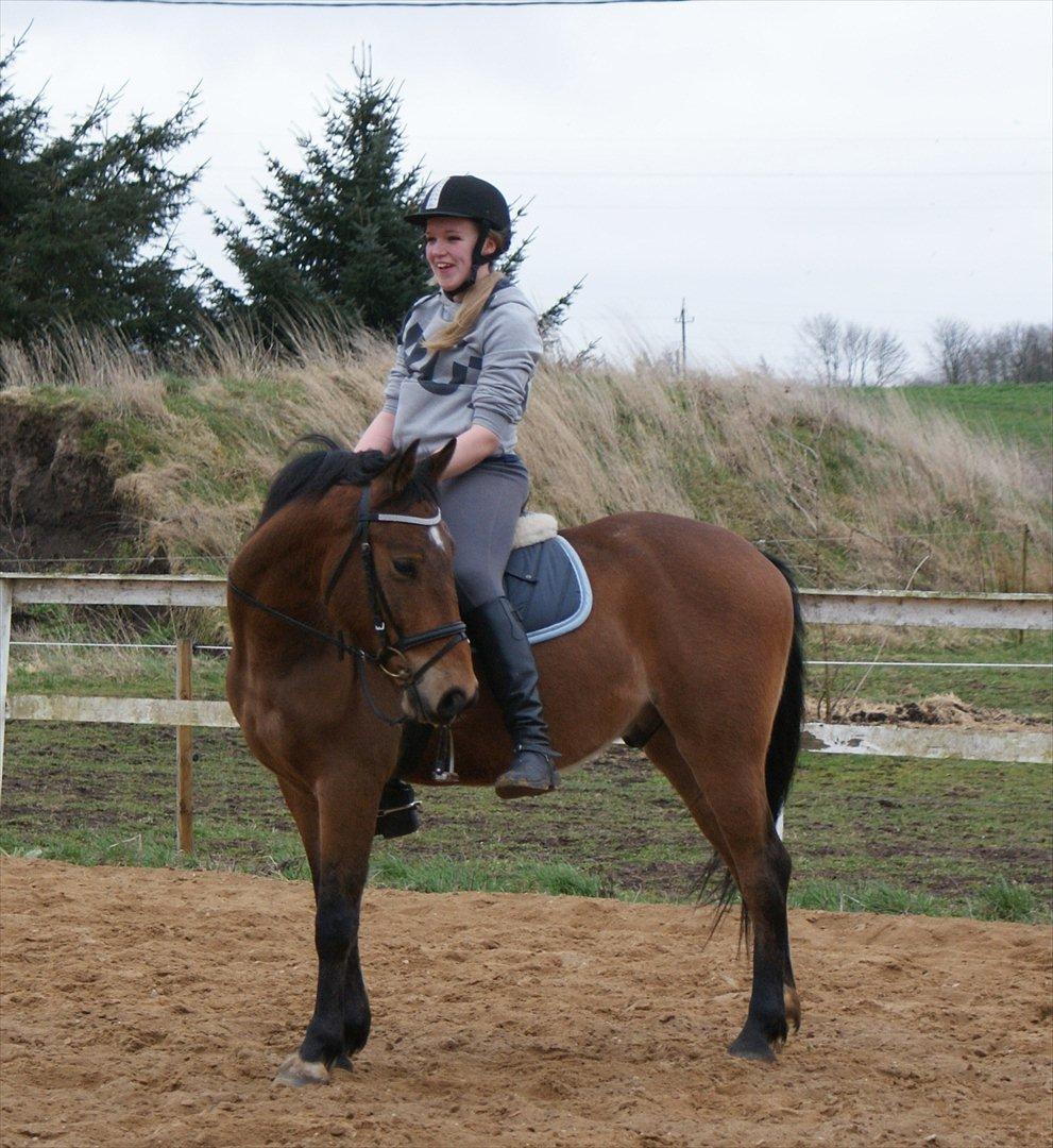 Anden særlig race | Simba | - Hygge. (den 1. april 2012) billede 9