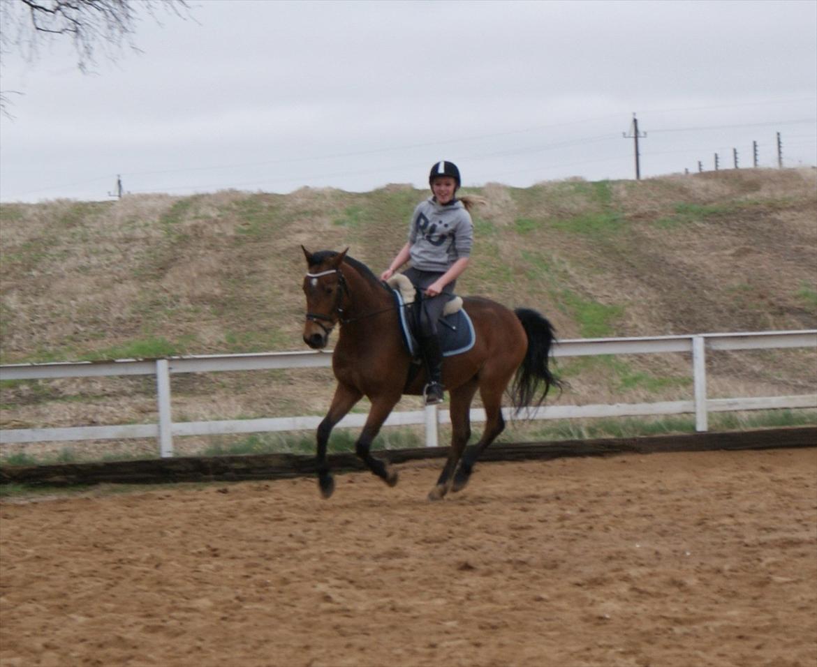 Anden særlig race | Simba | - Galop. (den 1. april 2012) billede 11