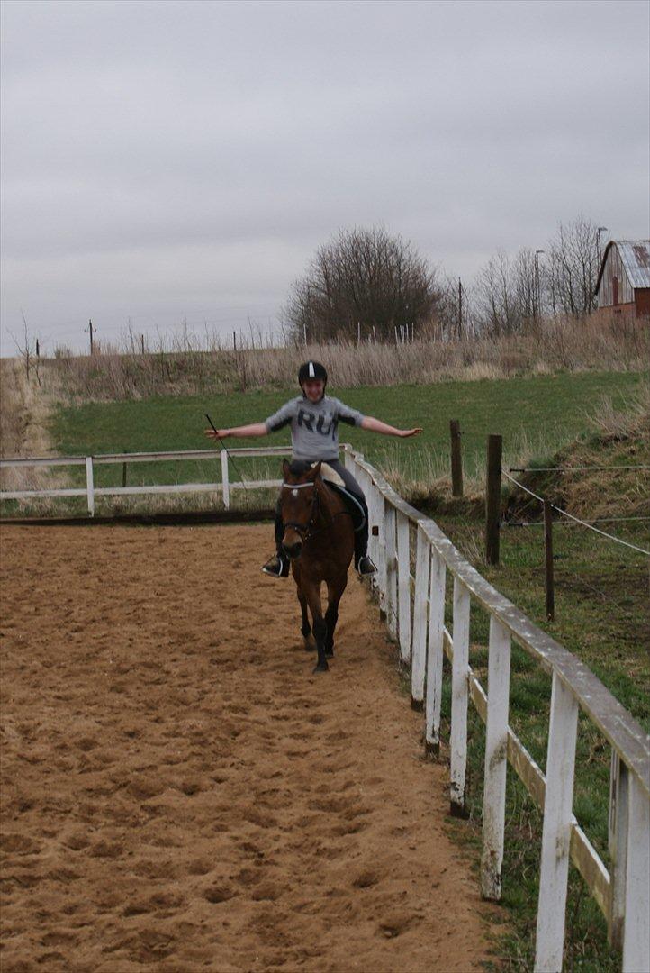 Anden særlig race | Simba | - Galop, uden tøjler. (den 1. april 2012) billede 8