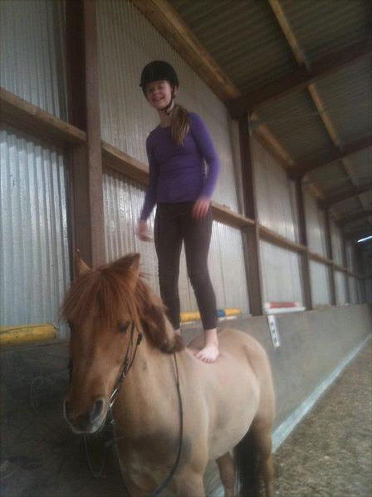 Anden særlig race Lucas <3 - Står op på den søøøde ! <3 billede 7