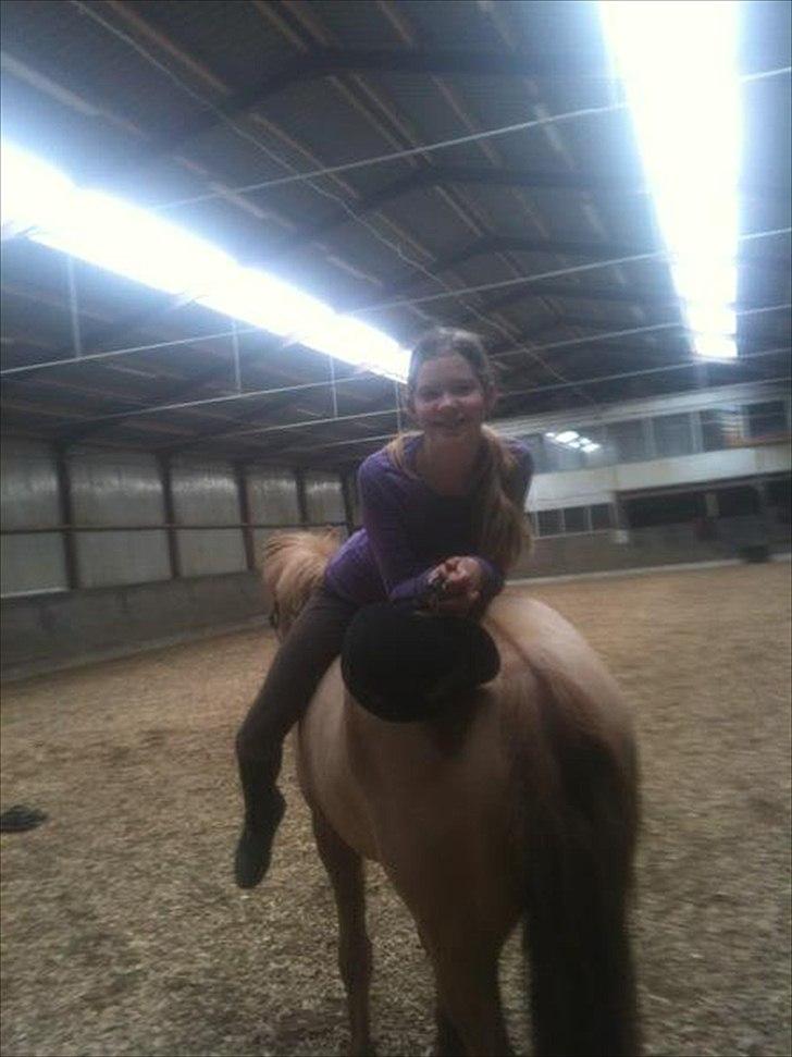 Anden særlig race Lucas <3 - Jeg kan bare ikke andet end at stole 100% på dig Lucas!<3 billede 11