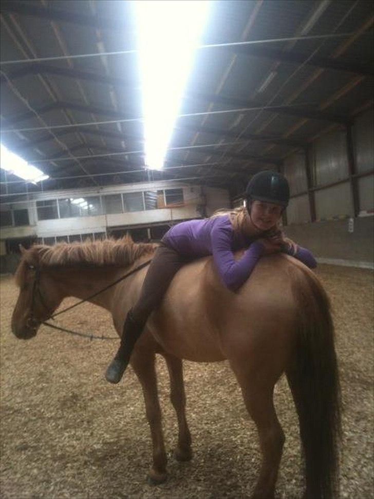 Anden særlig race Lucas <3 - Dejlig blød mås <3 billede 4