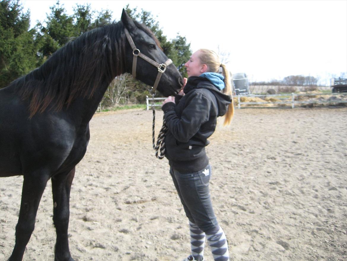 Frieser Gandalf af Dandanell billede 10