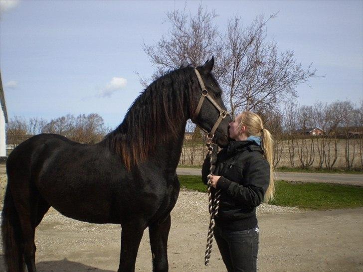 Frieser Gandalf af Dandanell billede 11