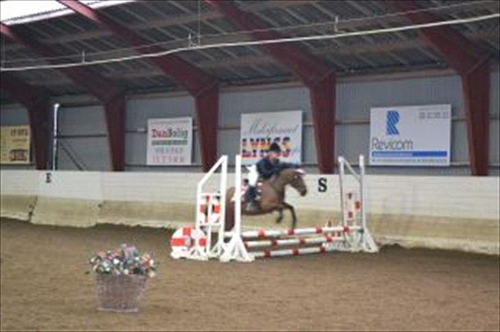 Anden særlig race Jackpot - stævne krk<3 billede 18