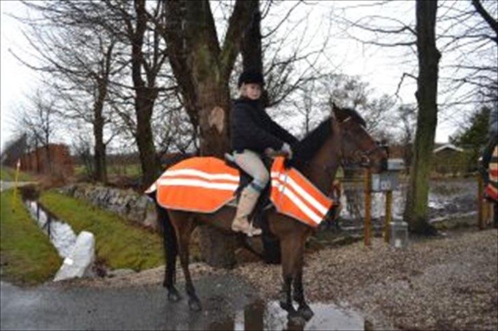 Anden særlig race Jackpot billede 19