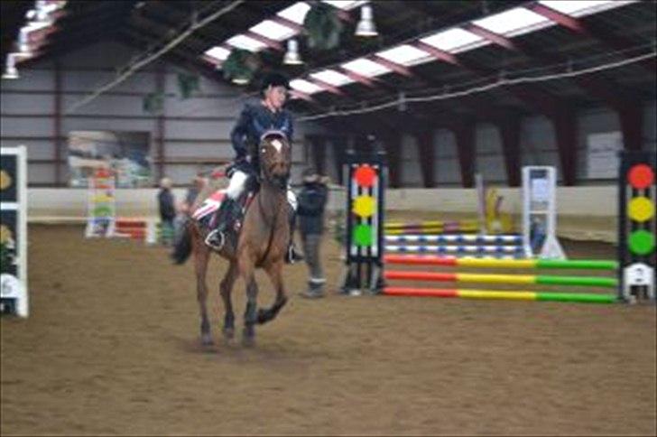 Anden særlig race Jackpot billede 20