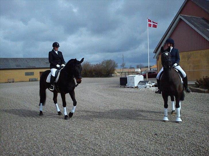 Oldenborg Gipsy - Smukkesen kom hen til kirken til min konfirmation:-* billede 2