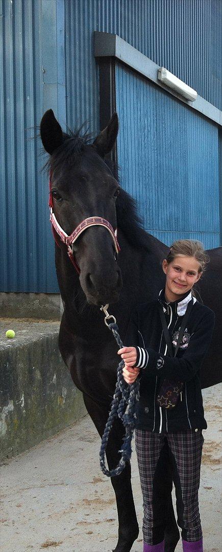 Anden særlig race Iver - Du er så smuk og dejlig. billede 4