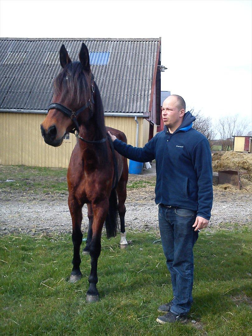 Traver Dillon - Lige læsset ud af traileren billede 7