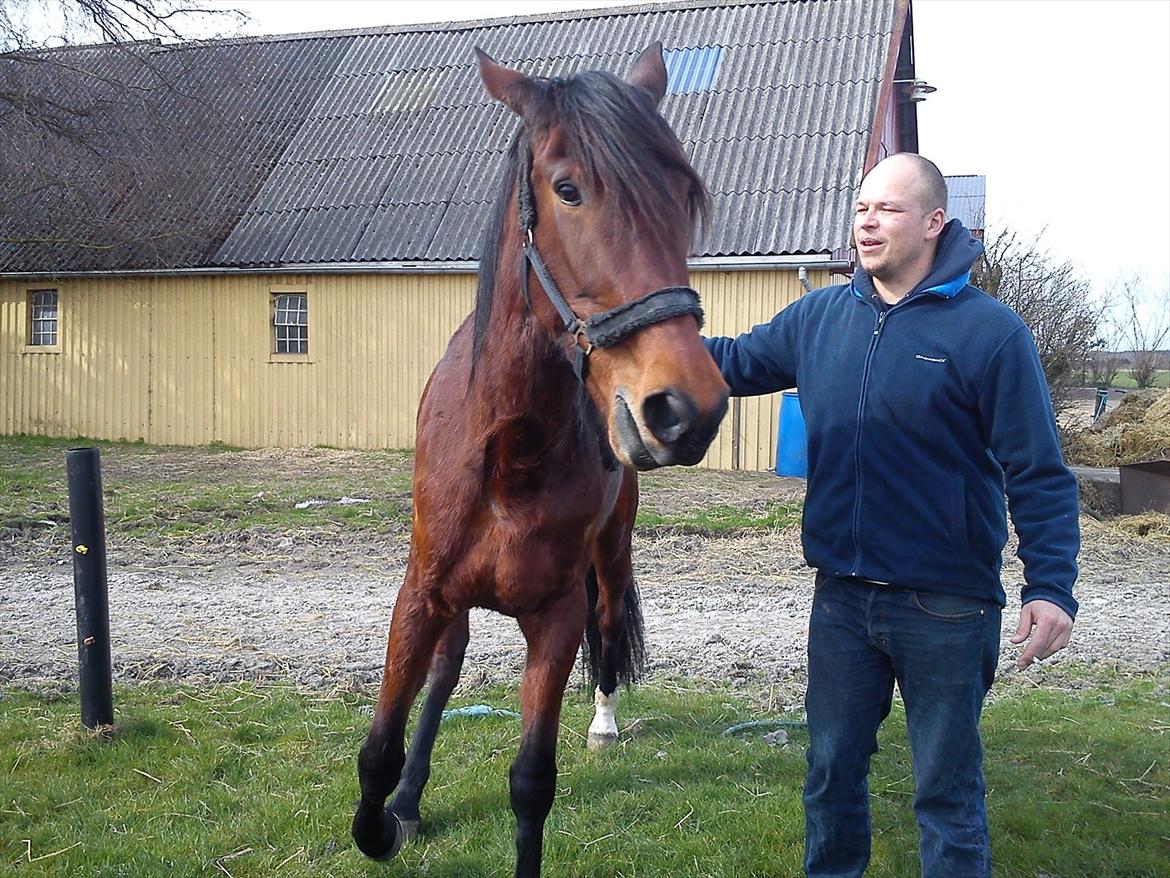 Traver Dillon - Lige læsset ud af traileren billede 8