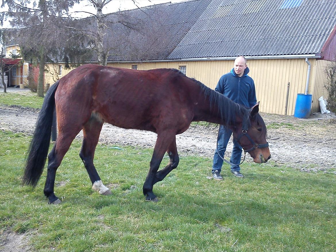 Traver Dillon - Lige læsset ud af traileren billede 9