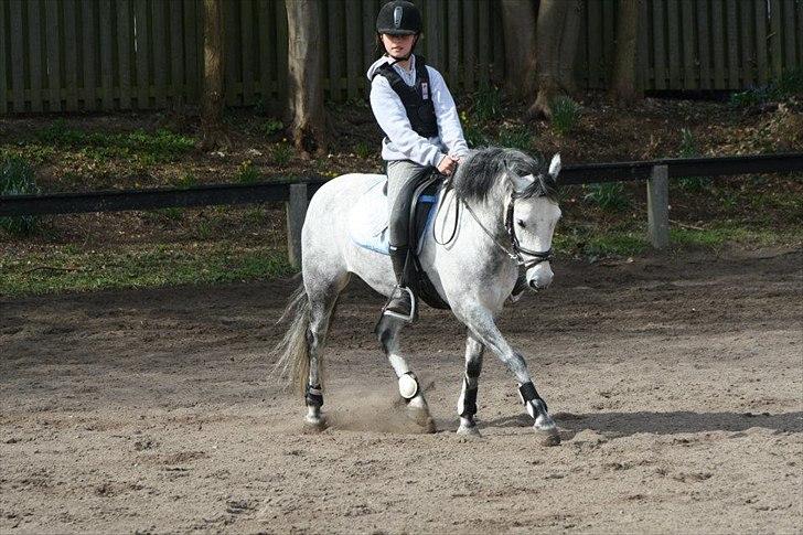 Anden særlig race Aziz (Min Part) - Sommer 2012 billede 10