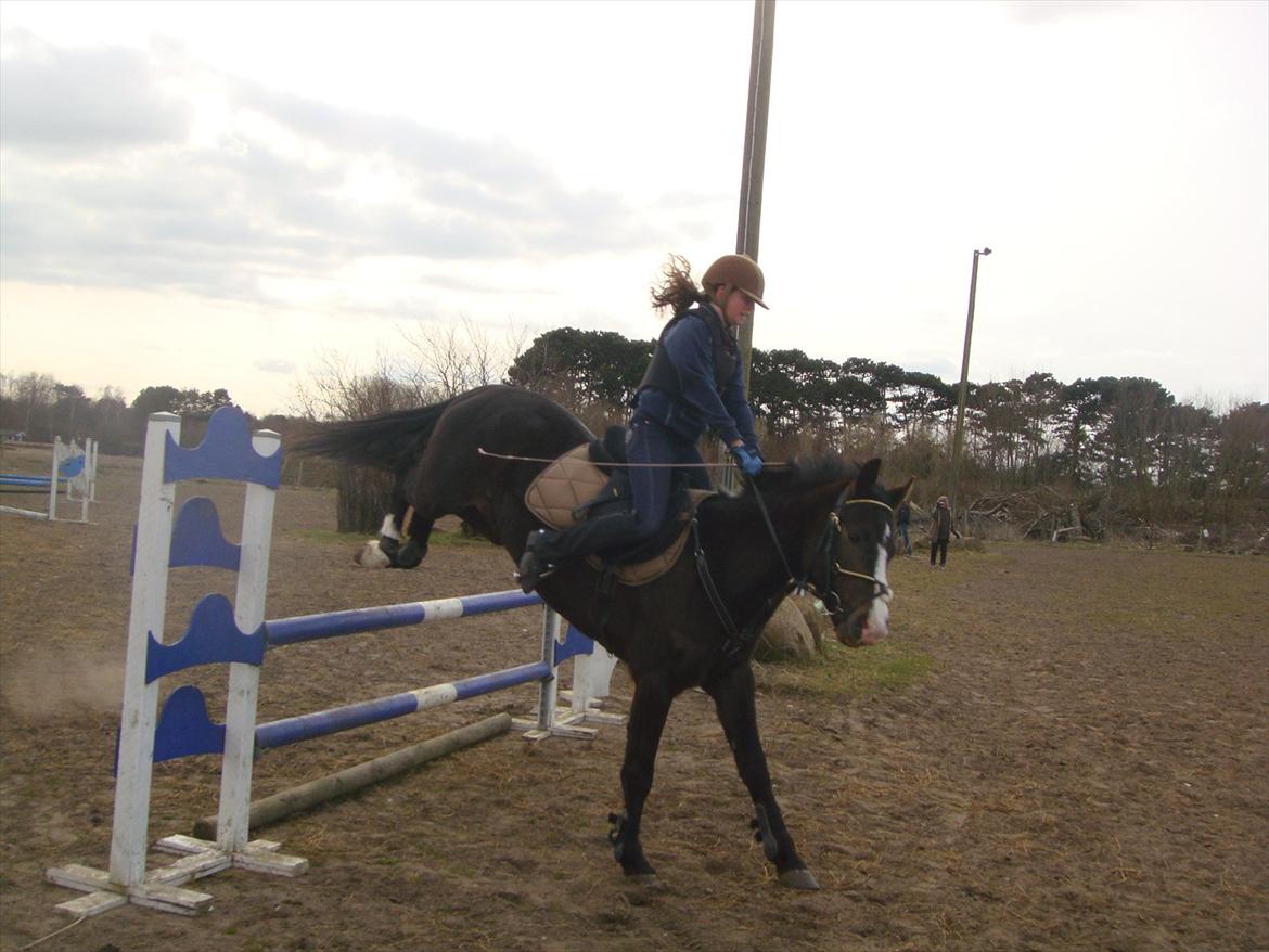 New Forest Lukas Søblink - „At elske tager tid, men det er tiden værd.“ billede 7