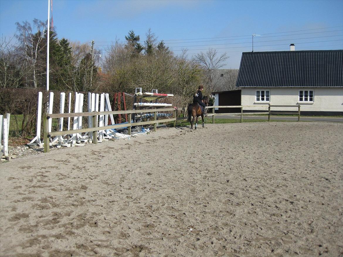 DSP Mirain Charming billede 18