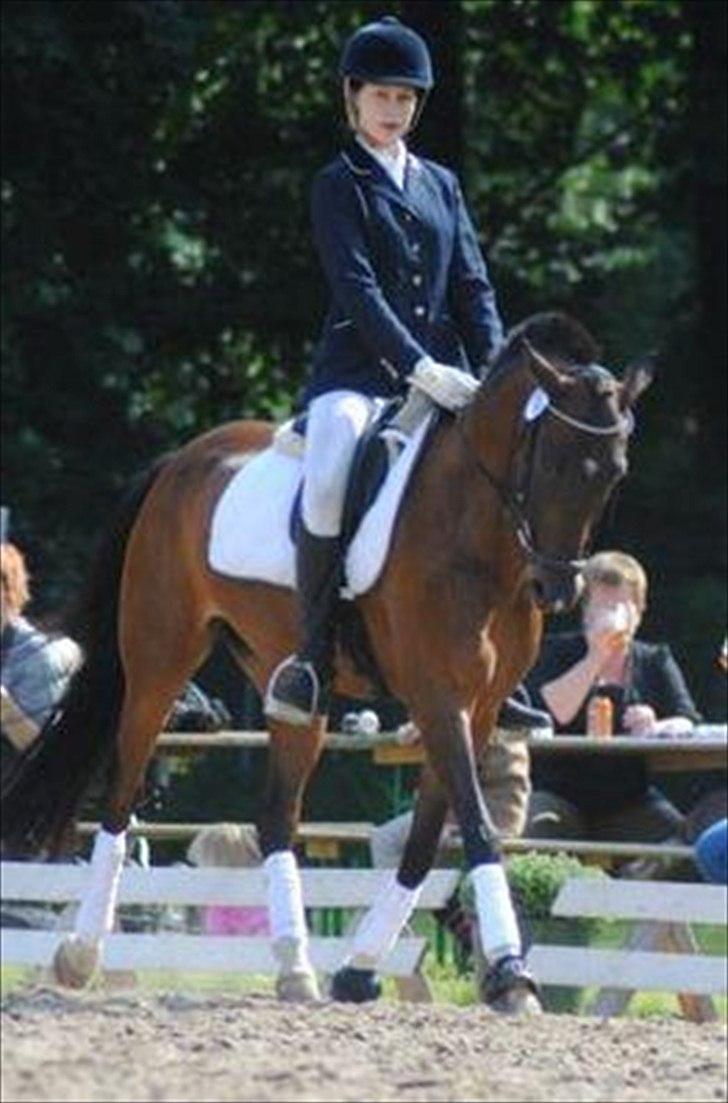 Tysk Sportspony Timo 215¨ - Timo og Nikita til dressur stævne ved Storhestedag 2011. 
Fotograf: Pia Riber billede 3