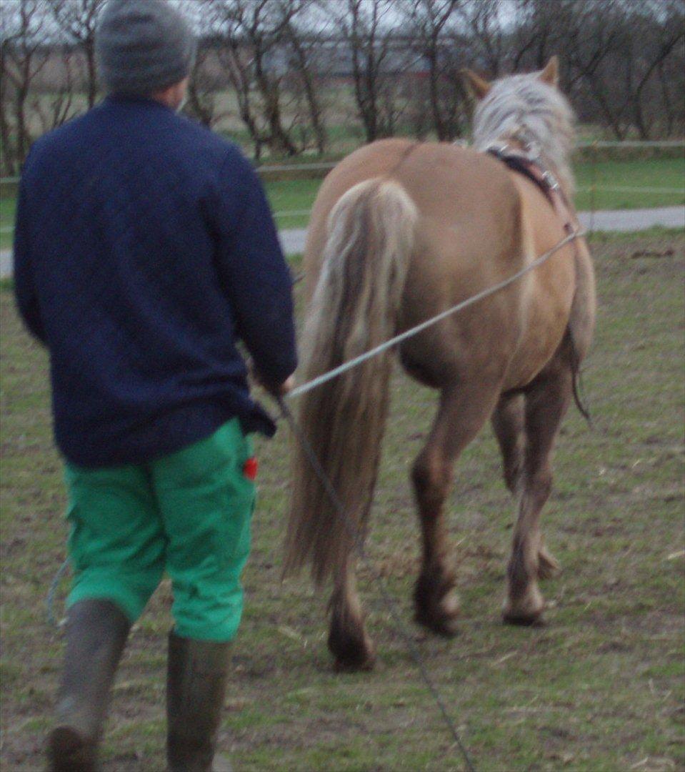 Anden særlig race RAS "Flotte fyr" - 3 April 2012 køre Ras i Tømmer billede 13