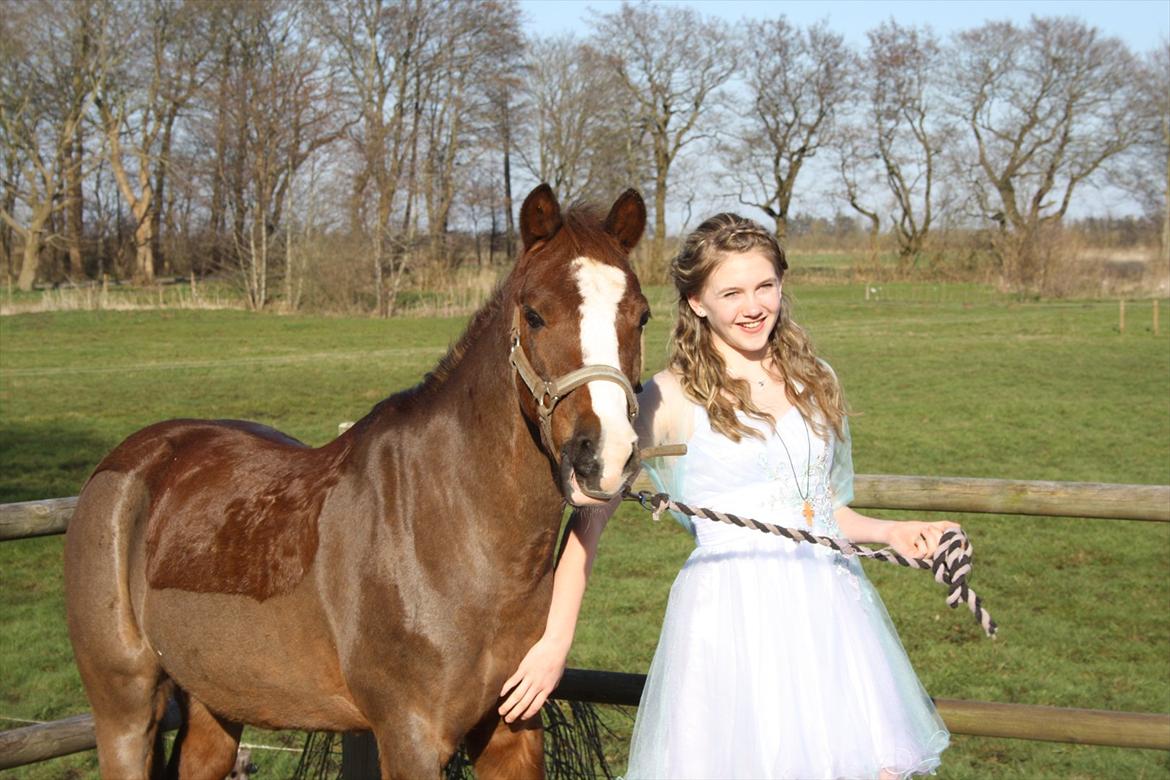 Welsh Pony (sec B) Mikkel - Min Konfirmation<3 (der kommer et billede som er bedere <3) billede 2