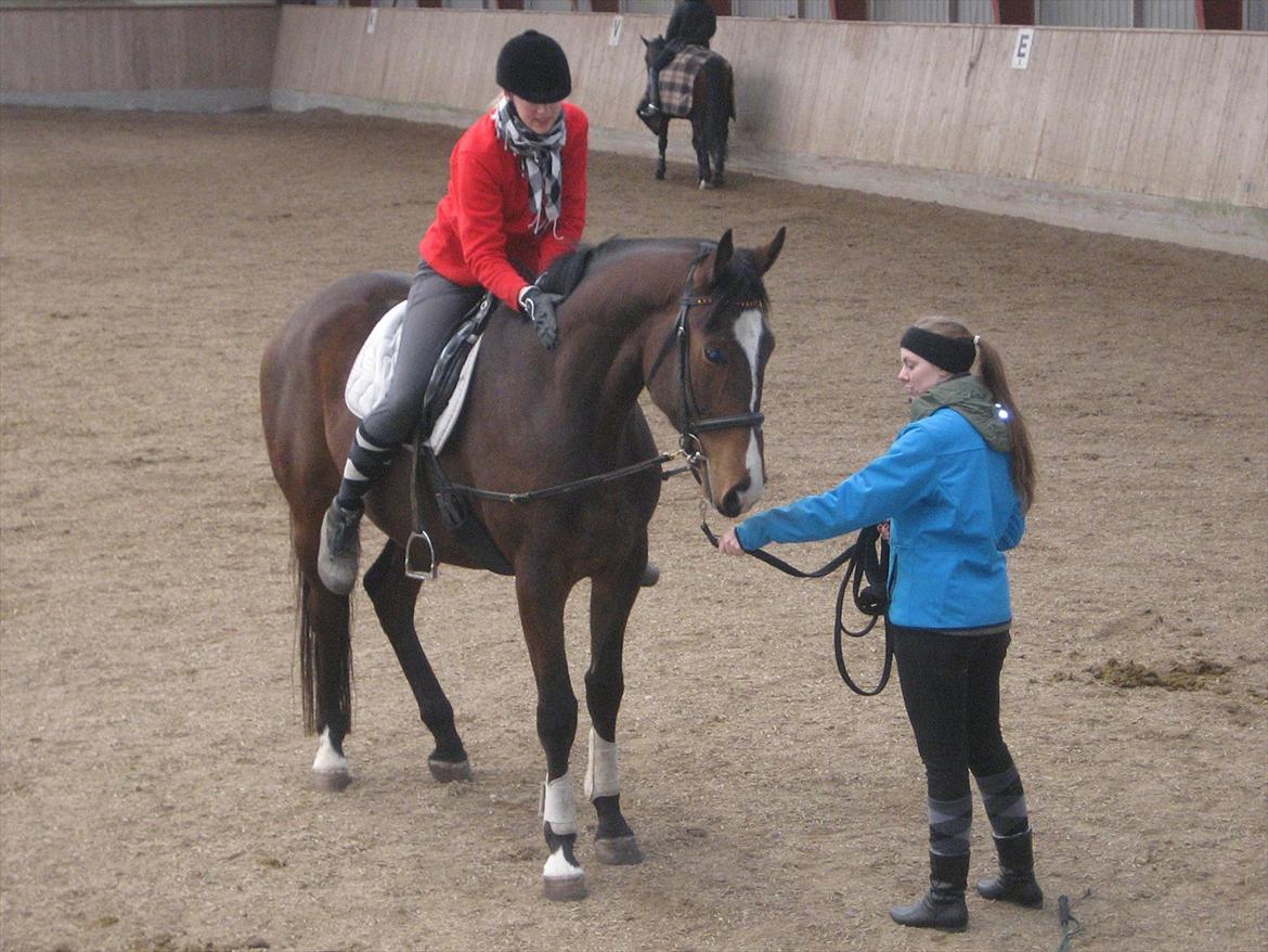 Oldenborg Bugatti af Dano - Med rytter på for første gang d. 4 april 2012 billede 17