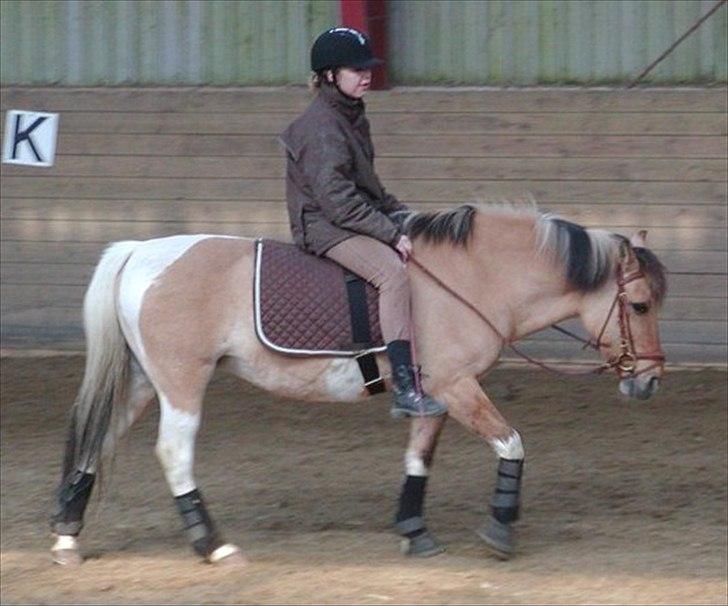 Anden særlig race Emma Merci (Min prinsesse) mit et & alt<3 - Påsken 2012 
Jeg elsker dig min Prinsesse :* <3
Foto: Malene O billede 11